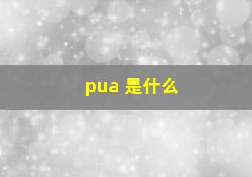 pua 是什么